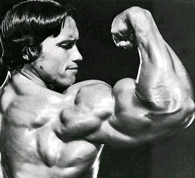 arnold_schwarzenegger_biceps.jpg