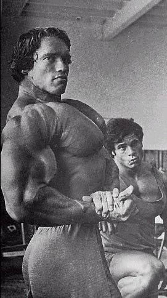 Arnold Schwarzenegger - Der Bodybuilder