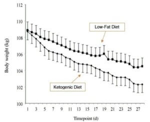 ketogene diät grafik fettverlust